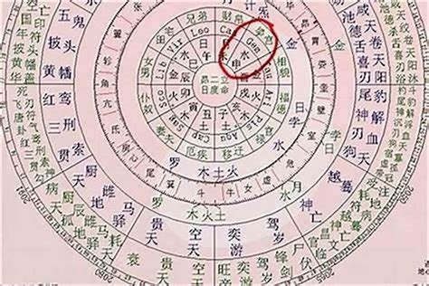 八字 命主 意思|八字中的命主是什么意思 命主是啥意思